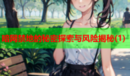暗网禁地的秘密探索与风险揭秘(1)