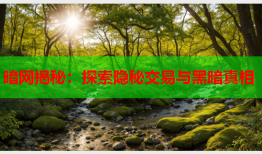 暗网揭秘：探索隐秘交易与黑暗真相