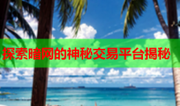探索暗网的神秘交易平台揭秘