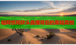 暗网惊现砍头直播背后的黑暗真相
