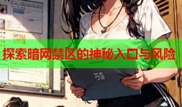 探索暗网禁区的神秘入口与风险