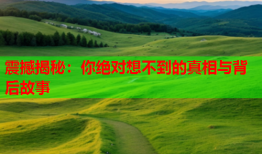 震撼揭秘：你绝对想不到的真相与背后故事
