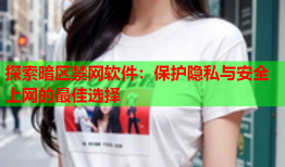 探索暗区禁网软件：保护隐私与安全上网的最佳选择