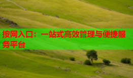 按网入口：一站式高效管理与便捷服务平台