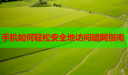 手机如何轻松安全地访问暗网指南