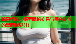 暗网揭秘：探索隐秘交易与匿名交流的黑暗世界(1)