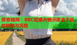 探索暗网：BBC纪录片揭示匿名下载的秘密与风险