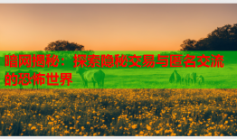 暗网揭秘：探索隐秘交易与匿名交流的恐怖世界