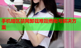 手机暗区禁网卸载难题揭秘与解决方案