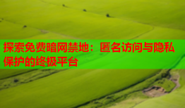 探索免费暗网禁地：匿名访问与隐私保护的终极平台