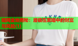 暗网金地揭秘：潜藏在黑暗中的财富与风险(1)
