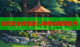 如何安全高效进入神秘的暗网世界