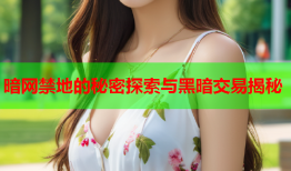 暗网禁地的秘密探索与黑暗交易揭秘