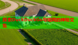 探索DuckDuckGo与暗网的神秘交集