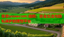 探索wwwcom.暗网：匿名交流与隐私保护的理想平台