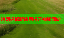 暗网探秘新应用揭开神秘面纱