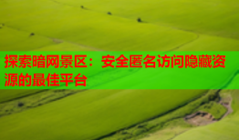 探索暗网景区：安全匿名访问隐藏资源的最佳平台