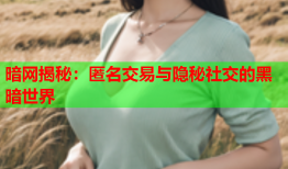 暗网揭秘：匿名交易与隐秘社交的黑暗世界