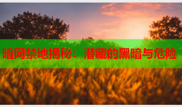 暗网禁地揭秘：潜藏的黑暗与危险