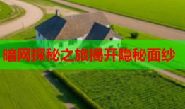 暗网探秘之旅揭开隐秘面纱