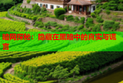 暗网探秘：隐藏在黑暗中的真实与谎言