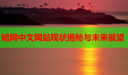 暗网中文网站现状揭秘与未来展望
