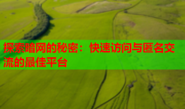 探索暗网的秘密：快速访问与匿名交流的最佳平台