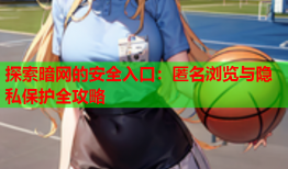 探索暗网的安全入口：匿名浏览与隐私保护全攻略