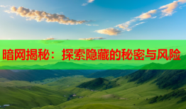 暗网揭秘：探索隐藏的秘密与风险