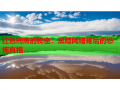 红色刑房的秘密：黑暗网络背后的恐怖真相