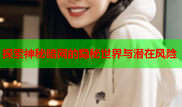 探索神秘暗网的隐秘世界与潜在风险