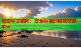 探索中文暗网：安全匿名的秘密交流平台