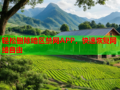 轻松删除暗区禁网APP，快速恢复网络自由