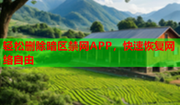 轻松删除暗区禁网APP，快速恢复网络自由