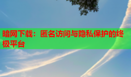 暗网下载：匿名访问与隐私保护的终极平台