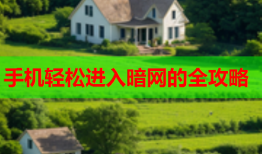手机轻松进入暗网的全攻略