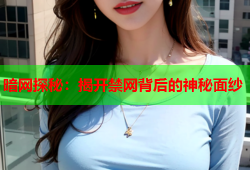 暗网探秘：揭开禁网背后的神秘面纱