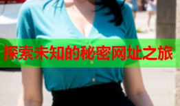 探索未知的秘密网址之旅