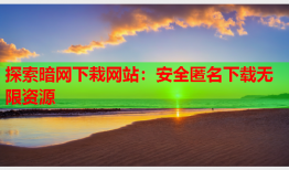 探索暗网下栽网站：安全匿名下载无限资源