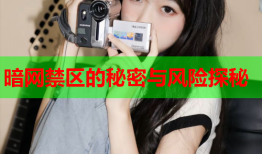 暗网禁区的秘密与风险探秘