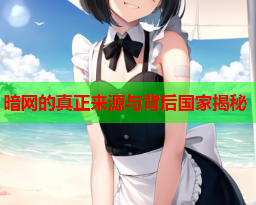 暗网的真正来源与背后国家揭秘