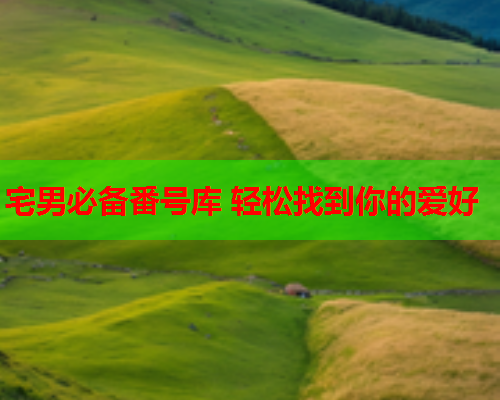 宅男必备番号库 轻松找到你的爱好
