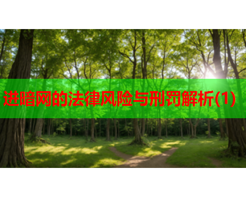 进暗网的法律风险与刑罚解析(1)