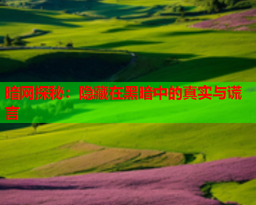 暗网探秘：隐藏在黑暗中的真实与谎言