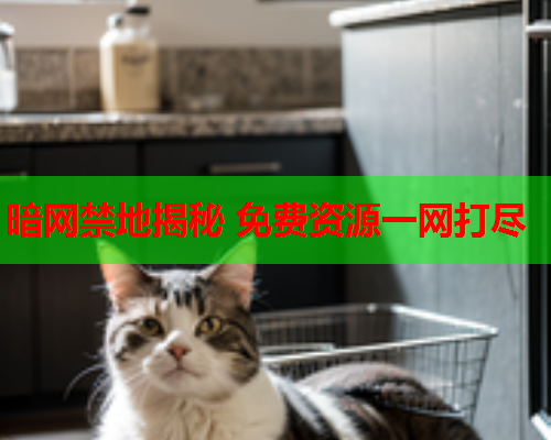 暗网禁地揭秘 免费资源一网打尽