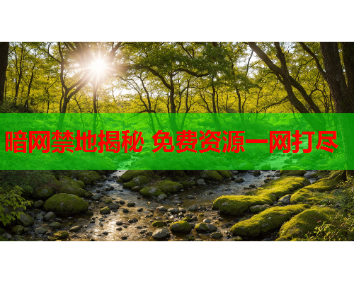暗网禁地揭秘 免费资源一网打尽