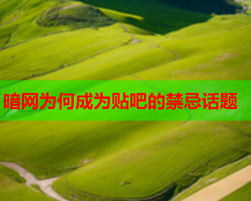 暗网为何成为贴吧的禁忌话题
