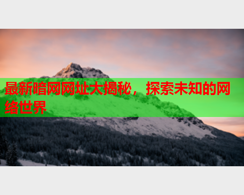 最新暗网网址大揭秘，探索未知的网络世界