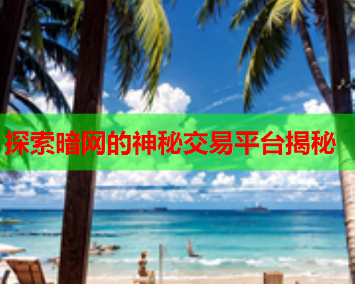 探索暗网的神秘交易平台揭秘