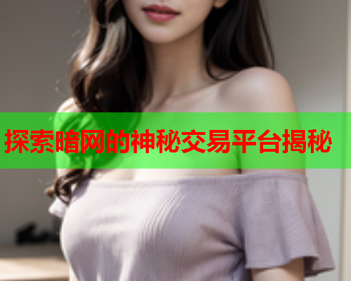 探索暗网的神秘交易平台揭秘